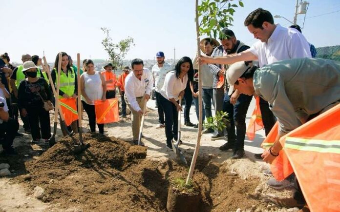 Alcaldesa Suma a la iniciativa privada en Proyecto Sembrando Vida de Transformar Tijuana